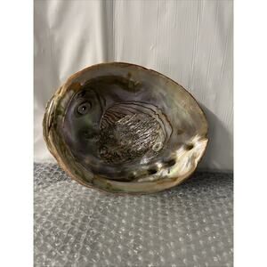 Abalone Shell Mother Of Pearl Beach Nautical Shelves Aquarium Decor Vintage